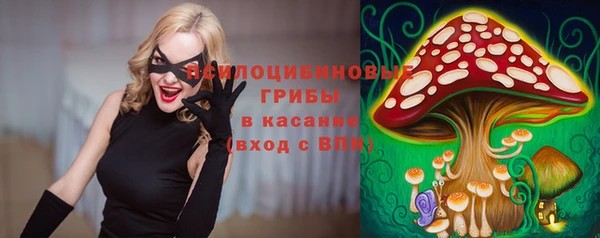 бошки Абдулино