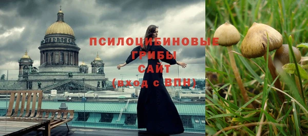 a pvp Абинск